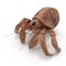 Hermit Crab Crawling Pose On White Background 3D Illustration Isolated