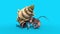 Hermit Crab Paguro Walkcycle Blue Screen 3D Rendering Animation