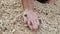 Hermit crabs on a child\'s hand