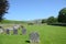 Hermitage Castle and Ancient Chapel