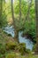The Hermon Stream Banias Nature Reserve