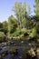 Hermon stream landscape, Israel.