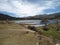 Hermoso paisaje arbol, beautifull lake and treebeautiful tree in a glacial turned into lake