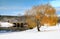 Herndon Virginia Snow Landscape Winter