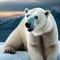A heroic polar bear with an icy emblem on its chest, defending the Arctic from threats2