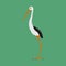 Heron bird animal vector icon illustration. Nature wildlife isolated. Cartoon tall standing view symbol. Silhouette design