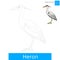 Heron bird learn to draw vector