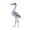 Heron Bird with Long Legs and Beak Standing Vector Illustration