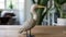 Heron Bird Wooden Sculpture In Dark Beige And Gold Style