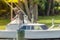 A Heron In Front of Boat