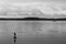 Heron in grey hues standing on floating sign with reflection, sailboat in distance and island scenery in background