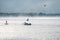 Heron and gulls on a misty lake.