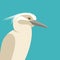 Heron head vector illustration flat style profile