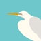 Heron head vector illustration flat style profile