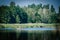 Heron on an island of reeds on the lake