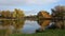 Heron Pond at Bushy Park in Surrey UK