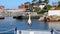 A heron in Simon`s Town