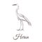 Heron is a sketch drawing.