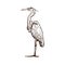 Heron standing, side view, hand drawn doodle, sketch in vintage gravure style