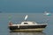 A heron on the top of a sailing boat, near the Jabaquara Beach, in Paraty, Brazil