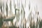 Heron wading through reeds