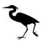 The heron walking ,vector illustration ,profile view