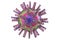 Herpes simplex virus