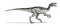 Herrerasaurus dinosaur, photorealistic 3d illustration