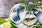 Herring Filets on a plate