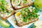 Herring green apple egg onion sandwiches