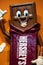 Hershey Chocolate Bar Character