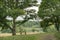 Hertfordshire countryside trees and bench