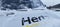 Hertz is a car rental company