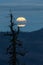 Hervest supermoon rising over the mountains