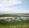 Hesketh Marsh Nature Reserve Lancashire England