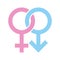 Heterosexual pair gender sign vector icon