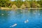 Heviz, Hungary - September 27, 2018: People on a warm water of therapeutic lake Heviz in Hungary