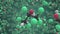 Hexafluoro-2-propanol molecule, conceptual molecular model. Chemical looping 3d animation
