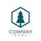 Hexagon pine Tree outdoor travel green silhouette forest logo