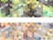 Hexagon seamless pattern, two banners - set