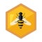 Hexagon Shape Honeycomb With Bee Insect In Center Cartoon Illustration