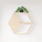 Hexagon shelf books and plant decoration interior design