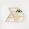 Hexagon and triangle shelf books and plant decoration interior design