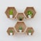 Hexagon wooden shelf, Minimal Japanese style. little tree, floating on the wall copy space hexagon