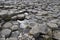 Hexagonal basalt columns at Giant\'s Causeway in Ireland