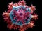 the hexagonal capsid symmetry of the Adenovirus