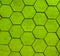 Hexagonal green floor