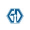 Hexagonal initial letter GD G D Logo Design