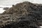 Hexagonal rocks at Giants Causeway, Northern Ireland