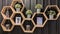 Hexagonal wooden honeycomb shelf complete with accessories mounted on the wall of a cafe